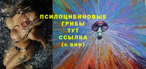 apvp Лабытнанги