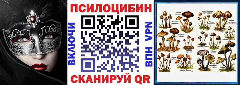 где продают наркотики  дарк нет как зайти  Галлюциногенные грибы Psilocybine cubensis  Нарьян-Мар 