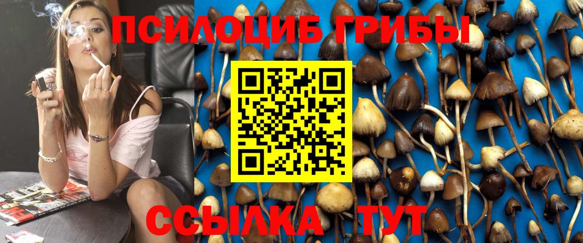 Нарьян-Мар  продажа наркотиков  Вход с VPN  Галлюциногенные грибы мицелий 