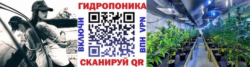 Шишки марихуана индика  блэк спрут онион  Нарьян-Мар 